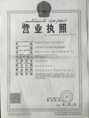 新疆海宏丝路资产管理的质押典当业务探析